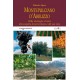 Montepulciano d'Abruzzo